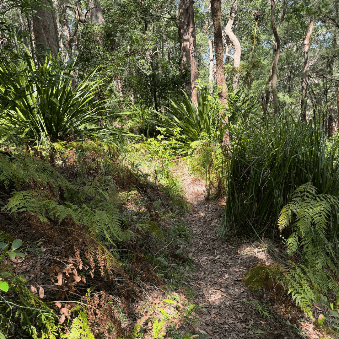 Mount Sugarloaf (3) (1)