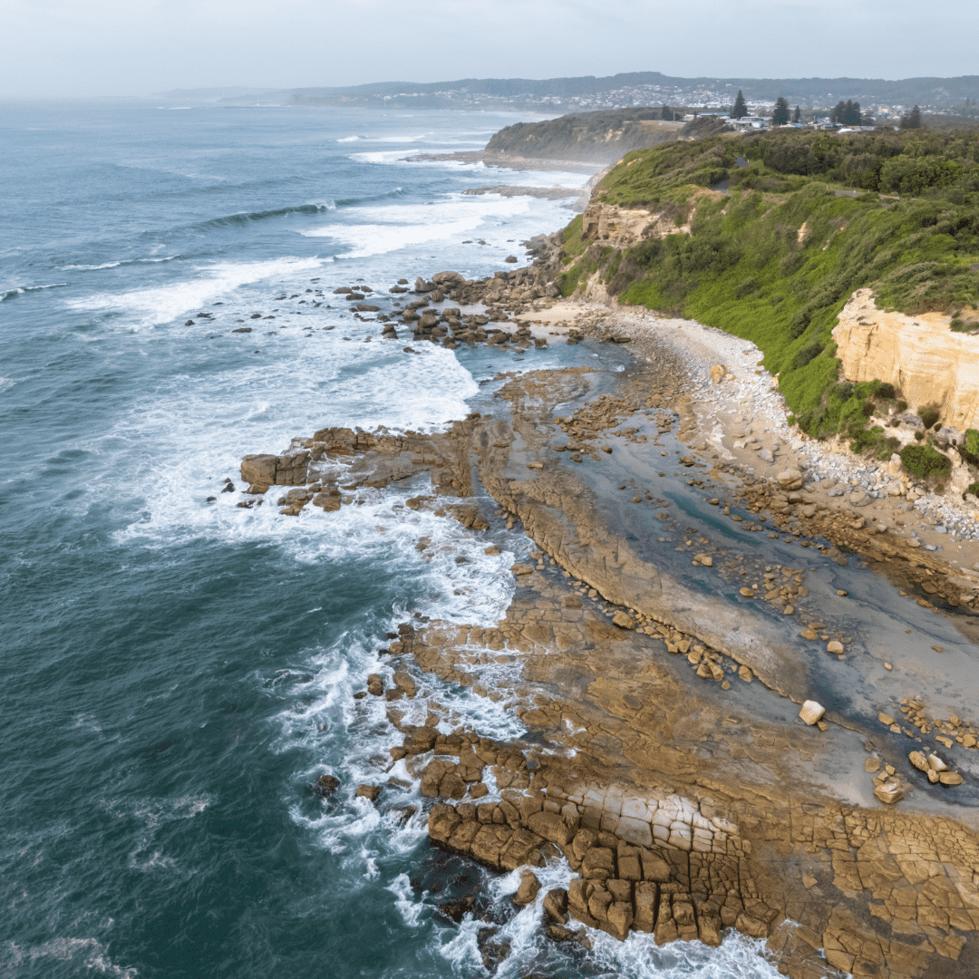 Swansea Heads (2) (1)